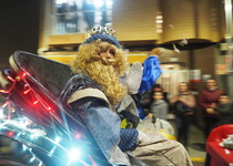 Peñíscola recibe a los Reyes Magos de Oriente 