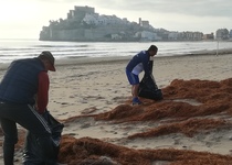 Los vecinos y vecinas de Peñíscola se vuelcan con la jornada de recogida de residuos en sus playas