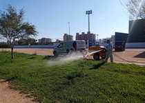 El Ayuntamiento de Peñíscola inicia los trabajos de control de plagas para el mosquito