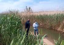 El Ayuntamiento de Peñíscola programa el dragado del sistema de acequias del marjal para evitar inundaciones