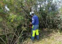 Peñíscola cuenta, nuevamente, con las Brigadas de Mitigación para la realización de tareas de prevención de incendios y otras emergencias