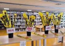Peñíscola celebra el Día del Libro con la entrega de rosas rojas a quienes participen de las actividades en la Biblioteca Municipal durante la jornada