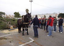 Sant Antoni, la bajada del tronco y el inicio de la fiesta
