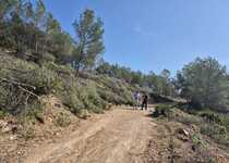 El Ayuntamiento de Peñíscola destina 70.000€ de recursos propios a la prevención y mitigación del riesgo de incendios forestales