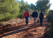 Ayuntamiento y Diputación arreglan en Peñíscola más de 10km de caminos rurales en 2013