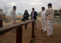 El Ayuntamiento de Peñíscola ha finalizado las tareas de mantenimiento del Sendero Azul