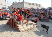 Las Amas de Casa de Peñíscola toman la plaza de toros