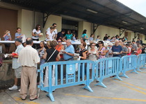 Peñíscola reparte 500 kilos de sardinas en la sardinada popular de las Fiestas