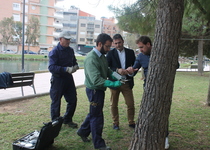 El Ayuntamiento de Peñíscola finaliza los tratamientos de prevención para la procesionaria