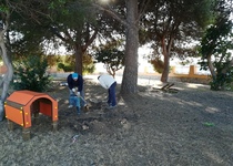 El Ayuntamiento de Peñíscola ultima los trabajos para la apertura del parque canino