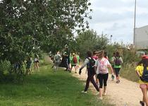 El AMPA del CEIP Jaime Sanz junto al Ayuntamiento de Peñíscola organizan unas jornadas de sensibilización medioambiental por el marjal